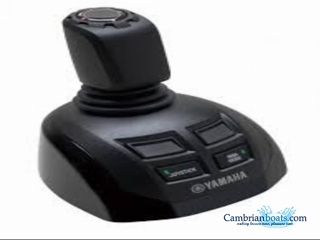 The joystick